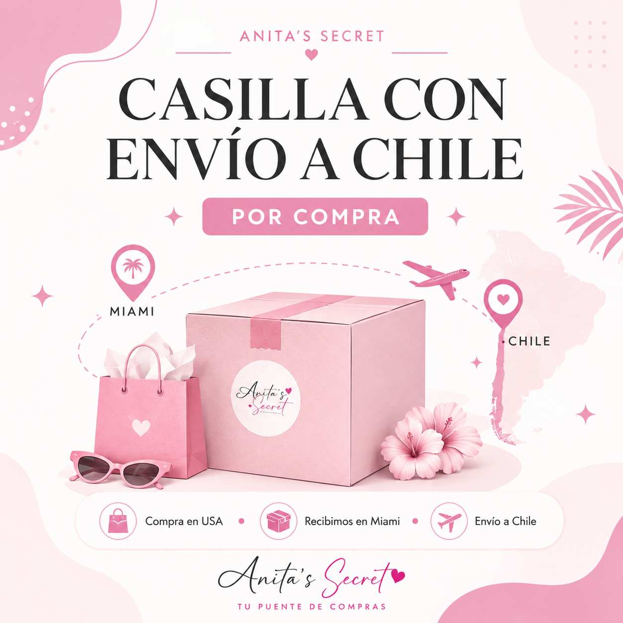 CASILLA CON ENVIO A CHILE (POR COMPRA)